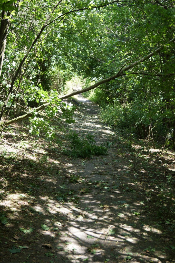 DSC07383